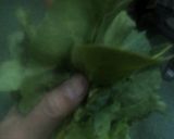 A picture of step 1 of ALU Palak Methi.