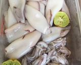 Foto langkah ke 1 dari resep Gulai cumi isi tahu telor.