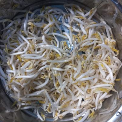 Langkah 6