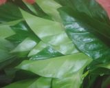 Foto langkah ke 1 dari resep Oseng udang rebon daun mengkudu / urab daun mengkudu.