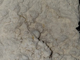 Ensaimada
