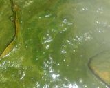A picture of step 4 of Spinach Pulao.