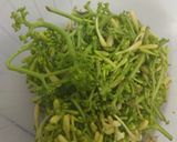 Foto langkah ke 1 dari resep Tumis bunga pepaya.