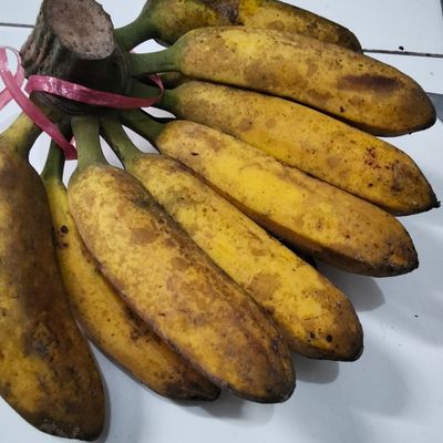Langkah 1