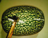 Foto del paso 1 de la receta: Dulce de cayote ¡Manjar de los dioses!