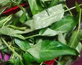Foto langkah ke 2 dari resep Mi kangkung betawi.