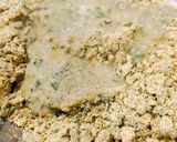 પાલક મઠરી (Palak Mathri Recipe In Gujarati) રેસીપી સ્ટેપ5ફોટો