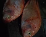 Foto langkah ke 1 dari resep Ikan nila bakar.
