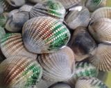 Foto langkah ke 1 dari resep Kerang Dara Saus Asam Manis.