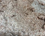 A picture of step 1 of Ragi manni / Ragi custard.
