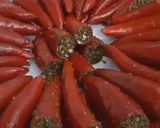 लाल मिर्च का अचार (lal mirch ka achar recipe in Hindi) रेसिपी चरण 3 फोटो