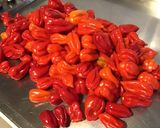 Une image de l'étape 1 de Sauces au piments antillais carottes oignons et épices.
