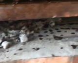 Foto del paso 5 de la receta: Vacío entero a la parrilla