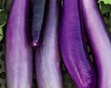 A picture of step 3 of California Farm Eggplant Skin Pickles and Chutney.