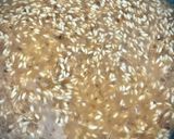Foto del paso 4 de la receta Risotto de gambones y setas