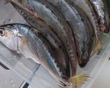 Foto langkah ke 1 dari resep Ikan Kembung Kukus.