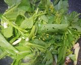 รูปขั้นตอนการทำที่ 1 ของ กวางตุ้งดอกผัดอกไก่