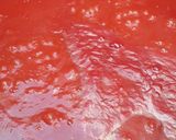 عکس مرحله 2 از دستور تهیه سس گوجه فرنگی بازاری از رب گوجه خونگی🍅