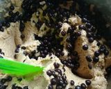 Foto langkah ke 5 dari resep Chocolate chip cookies.