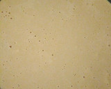 Foto del paso 4 de la receta: Pastel de manzana