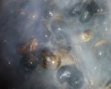 Foto del paso 3 de la receta: TURRÓN DE MEREY!