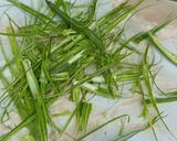 A picture of step 1 of Drumstick Kadhi.