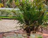 A picture of step 4 of Aam panna.