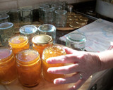 Foto del paso 10 de la receta: Mermelada de naranjas amargas (o de Sevilla)