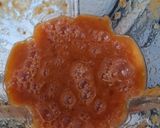 Foto del paso 3 de la receta: Tinga de res