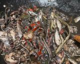 Foto langkah ke 5 dari resep Balakutak Cumi Hitam.