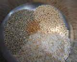 A picture of step 1 of Kambu (pearl millet) dosa.