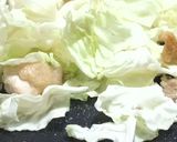 Foto langkah ke 3 dari resep Ayam Kubis Tumis Mayones.