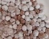 Hình bước làm 1 của món Trân châu trắng
