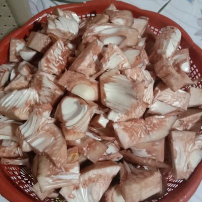 Langkah 1