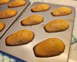 Foto langkah ke 3 dari resep Madeline.
