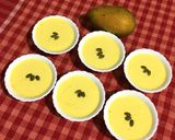 A picture of step 7 of Mango Yogurt.