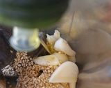 Foto del paso 5 de la receta: Dip fácil de berenjenas 🍆🍆🍆