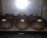 Foto langkah ke 4 dari resep Roti beruang choco.