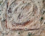 A picture of step 4 of Moong dal chilla.