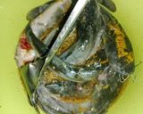 Foto langkah ke 1 dari resep Lele Sambel Balado.