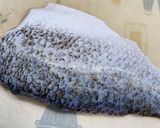 黃金蝦XO醬蒸鱸魚的食譜步驟2照片