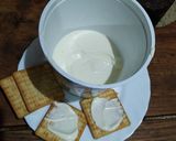 Foto del paso 7 de la receta: Queso de untar casero