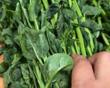 Foto langkah ke 1 dari resep Tumis Sayur Bayam Gendola/Malabar Sat Set.