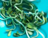 Foto del paso 7 de la receta: Microverdes/ brotes de girasol