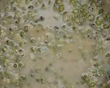 Foto langkah ke 6 dari resep Bubur Kacang Hijau Low Kalori.