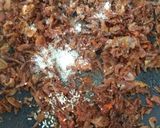 Foto langkah ke 3 dari resep Udang Rebon Pedas Gurih.