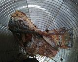 Foto langkah ke 2 dari resep Tumis peda huh ha.