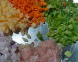 A picture of step 1 of Chicken veg mix pattie.