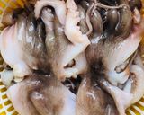 Hình bước làm 1 của món Bạch Tuột nướng Sa tế