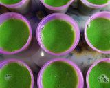 Foto langkah ke 5 dari resep Puding lumut.